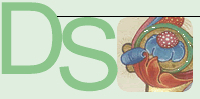 <p>Logo of digital scriptorium page on Bancroft Library website.</p>